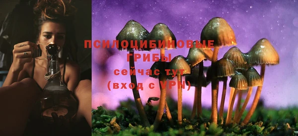 mdma Заволжск